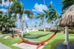 Aruba-Holiday-Inn-Courtyard-Hammocks