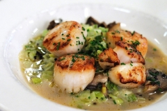 Sea-Scallops-Jumbo-1024x680