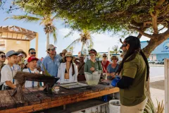 Copy-of-7U6A4155-Enhanced-NR