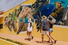 Copy-of-JNSN4414-Enhanced-NR-1