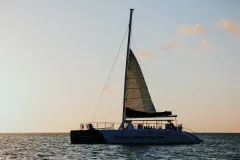 CMP_1100
