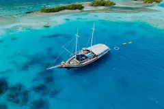 DJI_20250329102434_0232_D