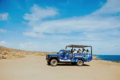 Copy-of-Copy-of-CMP29265