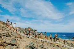 Copy-of-Copy-of-CMP29503