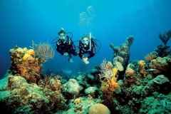 Red_Sail_openwater_diving3