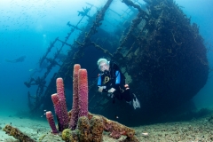 Red_Sail_openwater_diving4